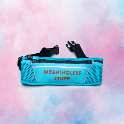 Meaningless Stuff: Fanny Pack